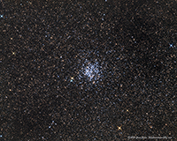 M 11 Wild Duck Cluster